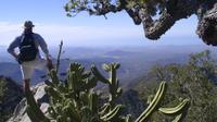 Sierra de la Laguna Biosphere Reserve Hike from Todos Santos