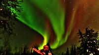 2-Nights Aurora Hunting with Accommodation