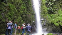 Private Tour: Horseback Riding Waterfall and Rainforest Hike Adventure in El Castillo