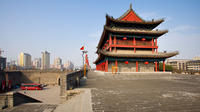 Full-Day Private Tour of Terra-cotta Warriors and City Wall from Xi'an