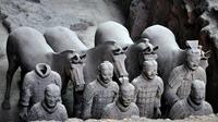 Half-Day Private Tour of Terra Cotta Warriors and Horses Museum