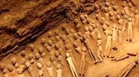 One Day Private Tour of Terra-Cotta Warriors and Hanyang Mousleum Underground Museum