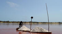 Full-Day Tour to Lac Rose - 'Pink Lake' from Dakar