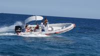 Full Day Private Snorkelling Speedboat Trip from Hurghada