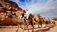 3-Day 2-Night Camel Safari to Wadi Rum from Dahab