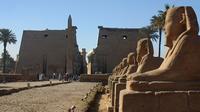 Luxor by Plane One Day Tour from Dahab