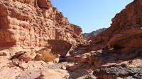 One Day Jeep Safari From Dahab