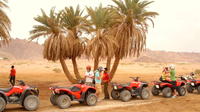 Quad Biking in Dahab