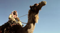 Two Days Camel Safari