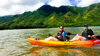 Private Rainforest River Kayak Tour