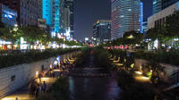 4時間の夜のソウル市内観光と屋台料理食べ歩きツアー 4時間の夜のソウル市内観光と屋台料理食べ歩きツアー