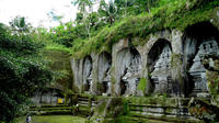 Private Bali Tour: Temples and Rice Terraces Tour