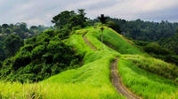 Private Tour: Campuhan Ridge Walk and Sightseeing in Ubud