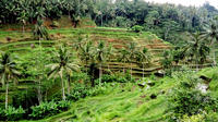 Private Tour: Ubud Village and Temples Tour