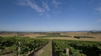 Yarra Valley Winery Tour from Melbourne Including Lunch and Local Guide