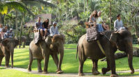Bali Elephant Safari Park with Buffet Lunch