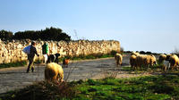 Maltese Nature and Agriculture Day Trip with Countryside Walk and Farm Visit