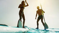 Stand up Paddle on the beautiful Noosa River with Hourly Board Hire