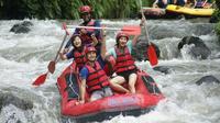 Bali Water Sports Adventure Combo: Parasailing, Jet Ski and Whitewater Rafting