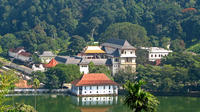 Kandy Day Tour with Visit to Pinnawala Elephant Orphanage