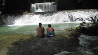 YS Falls plus Black River Safari from Montego Bay and Grand Palladium