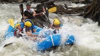 Rafting dans la classe II Sarapiqui River - III