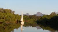 Private Pantanal Carioca Sailing Tour in Rio de Janeiro