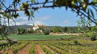 Penedes Region Wine and Food E-bike Tour avec transport au départ de Barcelone