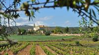 Penedes Region Wine and Food Tour with Transport from Barcelona