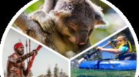 Half-Day Gold Coast Kayak Tour Including Burleigh Heads National Park, Tallebudgera Creek and David Fleay Wildlife Park image 1 Half-Day Gold Coast Kayak Tour Including Burleigh Heads National Park, Tallebudgera Creek and David Fleay Wildlife Park image 1