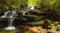 Blue Mountains Sightseeing Photography Tour