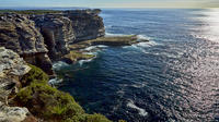 Sydney Royal National Park Coastal Photography Tour