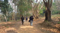 Private Trekking and Local Temple Day Tour in Chiang Rai