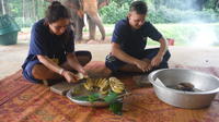 Elephant's Day Care at Baanchang Elephant Park with No Riding
