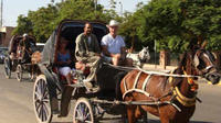 Aswan Horse and Carriage Ride