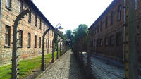 Auschwitz-Birkenau Self-Guided Visit from Krakow with Private Transfers
