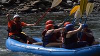 Sarapiqui River Rafting Class II-III Rapids