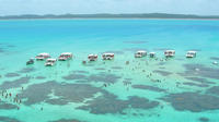 Maragogi Beach Tour de Recife