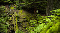 Mountain Biking near Olympic National Park