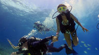 Dive and Drive Cozumel Adventure