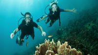 Half-Day Dive and Drive Adventure in Cozumel with Transport from Cancun