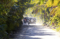 Jeep Adventure in Cozumel with Punta Sur and Beach Break