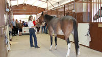 Equine Tour with World Renowned Equestrian