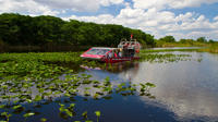 Everglades Airboat and Alligator Tour from Miami 