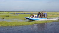 Everglades Alligator et Tour de Miami ou Fort Lauderdale Port ou aéroport