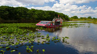 Excursão de aerobarco em Everglades e Excursão de Crocodilos partindo de Miami ou Porto ou aeroporto de Fort Lauderdale Excursão de aerobarco em Everglades e Excursão de Crocodilos partindo de Miami ou Porto ou aeroporto de Fort Lauderdale