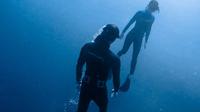 Discover Freediving Program in Punta Mita