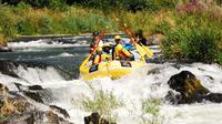 Half-Day Rogue River Rafting