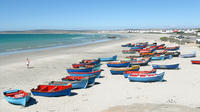 Cape West Coast Private Day Tour