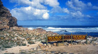 Full-Day Cape Peninsula Sightseeing Tour from Cape Town